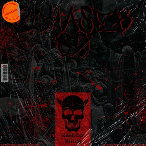 2ChaseB  - GO [DSRTDS004]