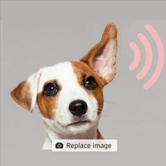 NTR Podcastprijs 2021