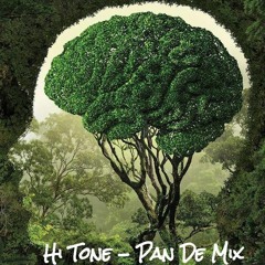 Hi Tone  -  Pan De Mix