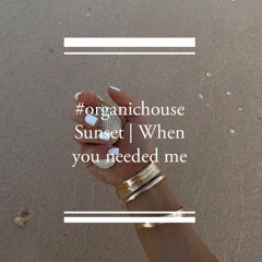 #organichouse Sunset | When you needed me Maldives 2021