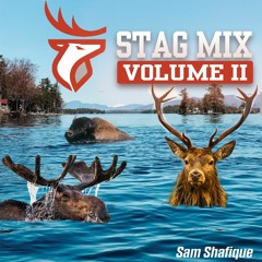 Stag Mix Volume 2 [VOLUME 3 OUT NOW!]