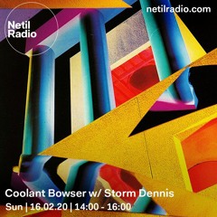 Wasted Space w/ Storm Dennis - Netil Radio - Feb 2020