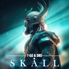 T-go & DnD - Skåll