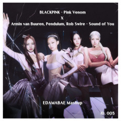 BLACKPINK - Pink Venom X Armin Van Buuren, Pendulum - Sound of You (EDAMABAE Mashup) (Pitched)