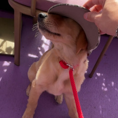 ITS THAT HR  (VOTT REMIX)