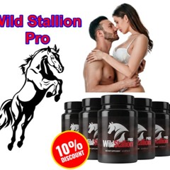 Wild Stallion Pro !!Fresh Start, Fresher Deals: Special Edition!!