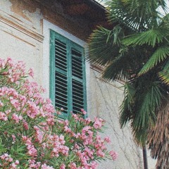 Pálava
