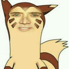 furret walcc but its distorted