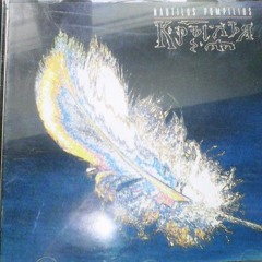 крила наутілус