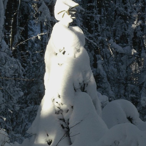 Yamaha is in the snow