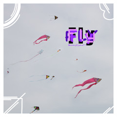 Fly