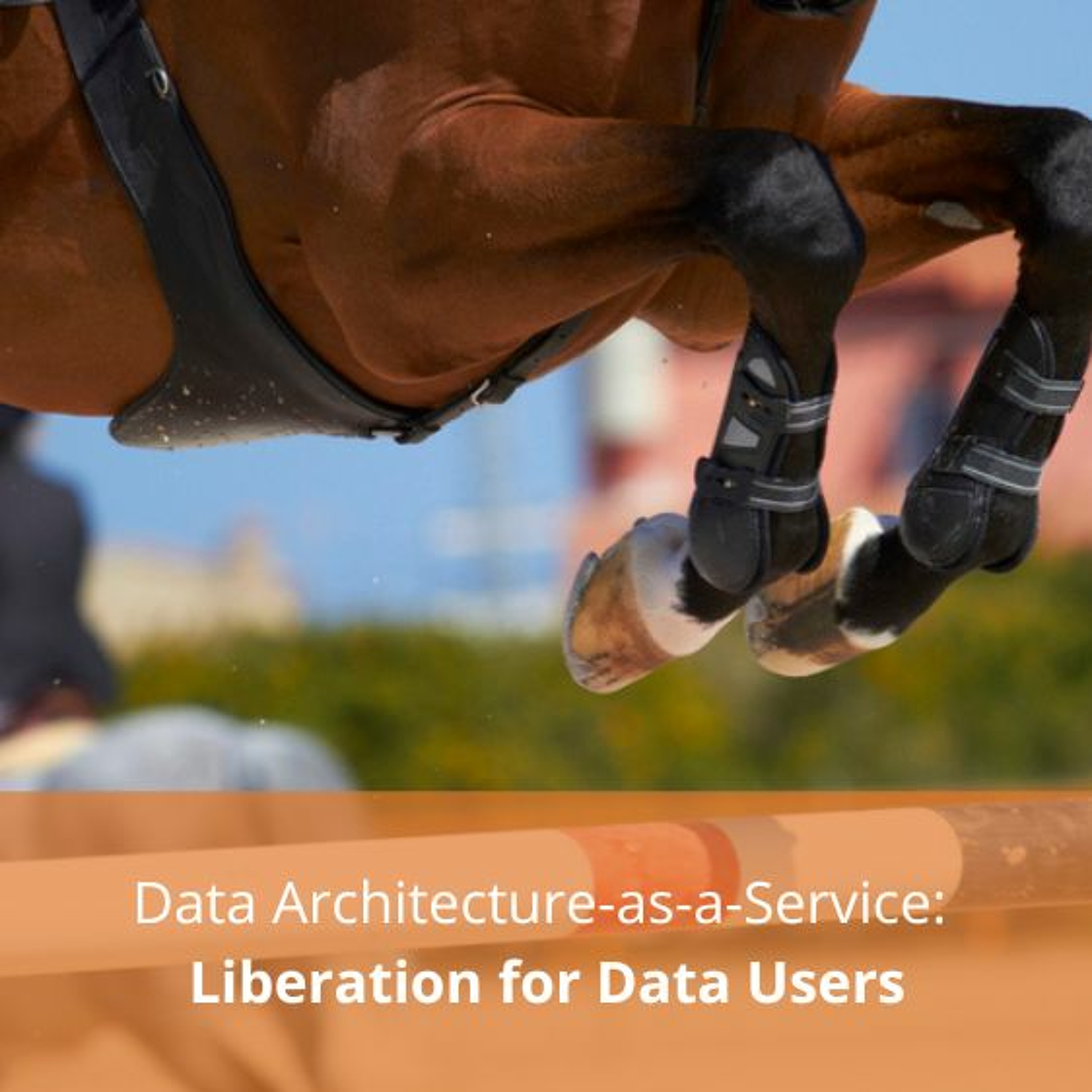Secrets of Data Analytics Leaders