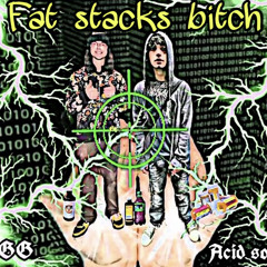fat stacks bitch (ft-acid souljah)