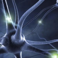 endorfina w fakush1k (adelanto ep)