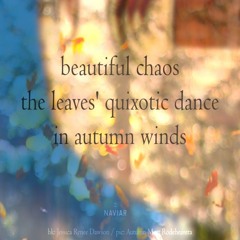 beautiful chaos [naviarhaiku467]