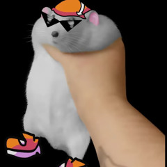 Radical ( Apparently, A FNF Leak. )