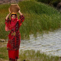 ‎⁨ آهنگ بارگ بلنده اجرای زنده⁩