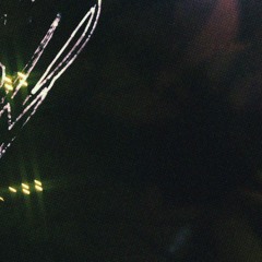 angel in the night