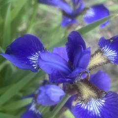 *CORE prod. NOTURMOOD