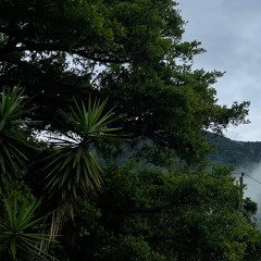 The rain softens as the night establishes itself - Atlantic Forest, RS, Brazil