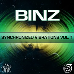 BINZ - Synchronized Vibrations Vol. 1