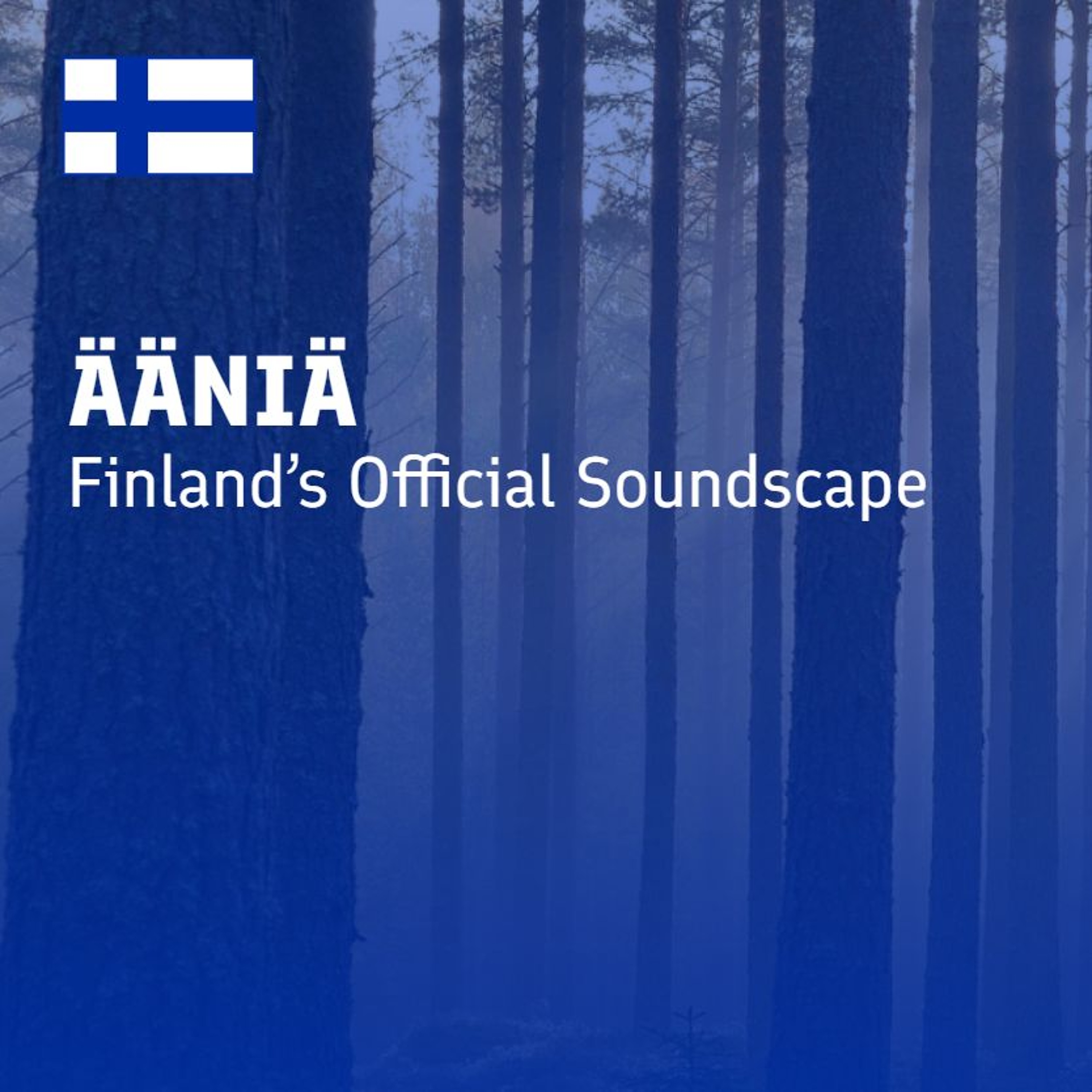 Metsässä kaikki hyvin (All Is Well in the Forest)