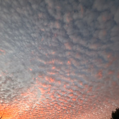 last late sunset, summer ‘97