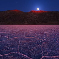 Desert Dream