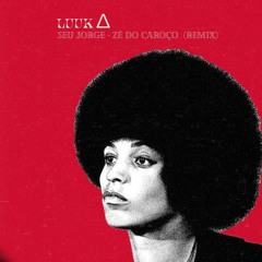 Seu Jorge - Zé do caroço (remix) Luuk∆