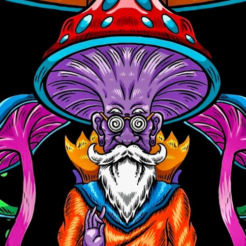 THE MUSHROOM MAN  (Lyrics) + add vcls on coda B.Browning