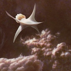 뜨거운감자 - 비눈물