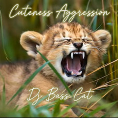 Cuteness Aggression    Opening set for Defunk