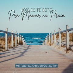 MC TEUS - HOJE EU TE BOTO PRA MAMAR NA PRAIA [DJ ANDRE DE CG DJ PZK]