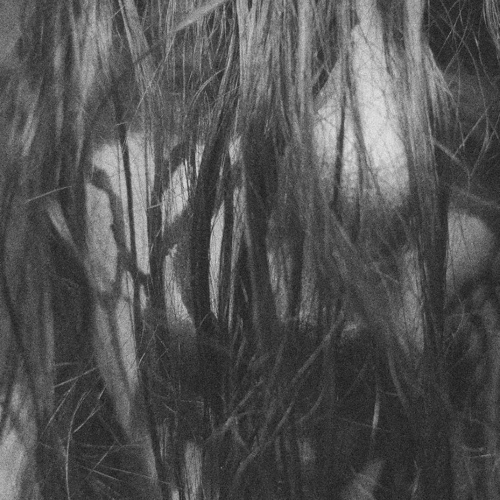 Vermifuge w/ Hyst Soundcloud podcast image for