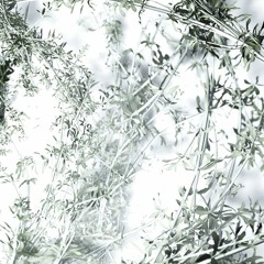 These Are No Words By Swinging Wire Phones Remix