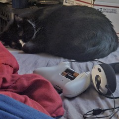 codline slowed reverb.mp3