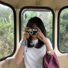 Bless The Telephone (cover)