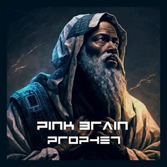 Pink Brain - Prophet (Original Mix)