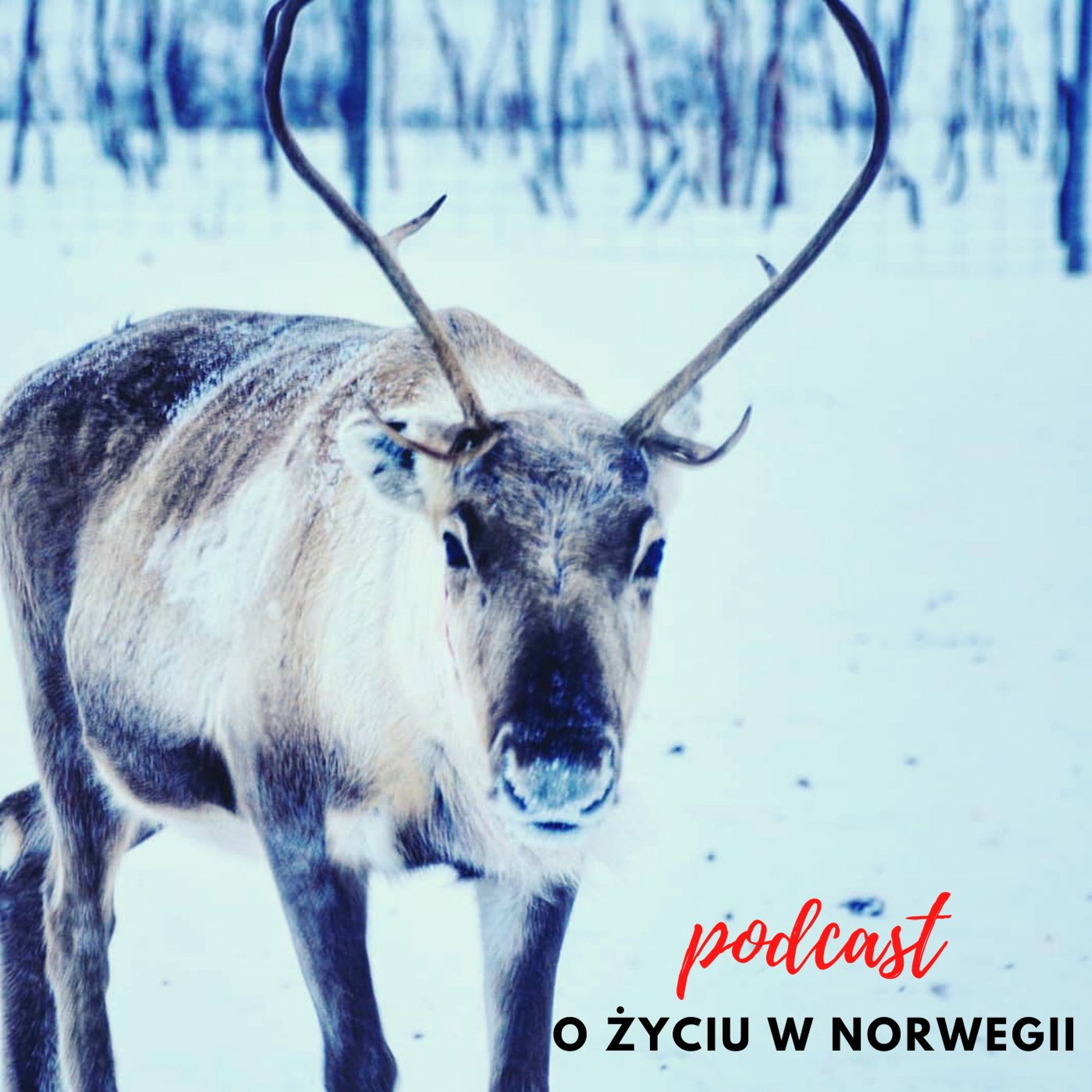 Życie w Norwegii