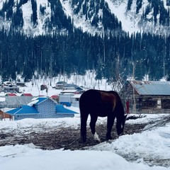 Selected_EDM_Sessions_1_(Verdun_Remix)