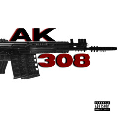AK 308