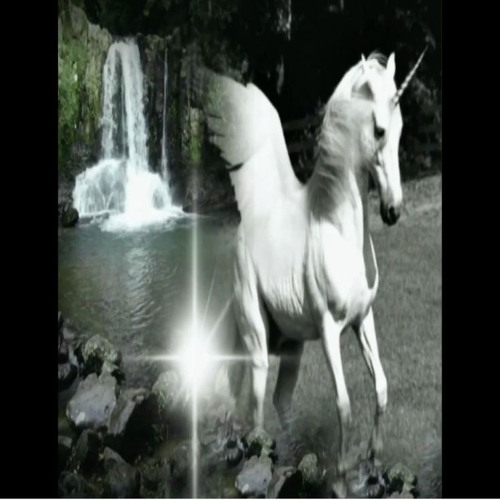 what a fucking freak he should kill himself