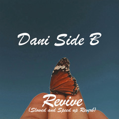 Revive (Slowed Reverb)