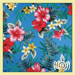 Lighter Thievez [Feat. Hwy-FOE]