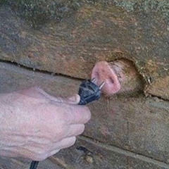 I’m A Man - Spencer Davis Group Cover