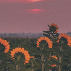 miley cyrus - when i look at you (male nightcore+reverb)