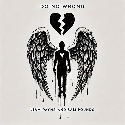 Liam Payne - Do No Wrong (feat. Sam Pounds)