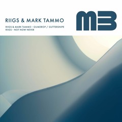 RIIGS & MARK TAMMO - GUTTERSNIPE -DrMaster