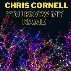 COVER SONG CHRIS CORNELL - YOU KNOW MY NAME