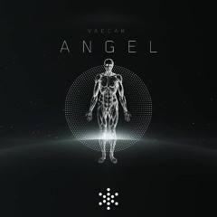 Angel ( NEW)